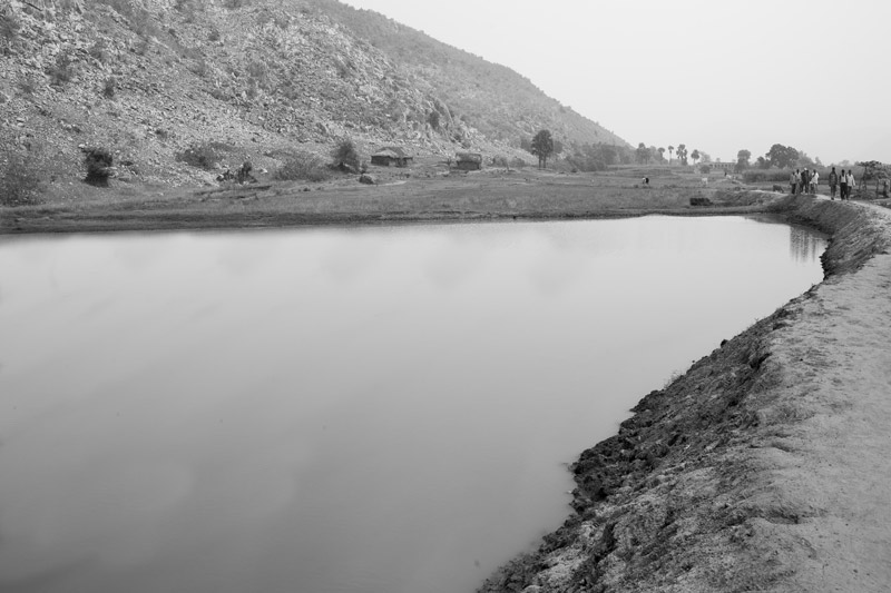 Water sustainability for sustainable agriculture - percolation tank filled by the local monsoon runoff in Koilu watershed in Munger district, Bihar - a 'watershed management structure' that provides surface water for irrigation, enhances soil moisture and recharges groundwater